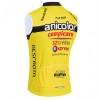 Cykelvest 2026 Anicolor Campicarn Gul